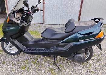 yamaha majesty dx 250