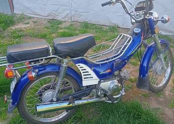 Kingway Father 50