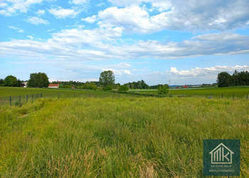 Grunt do sprzedania 1000m2 Dąbrowa