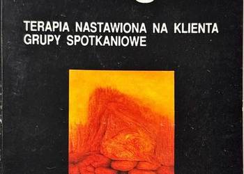 Terapia Nastawiona Na Klienta Grupy Spotkaniowe