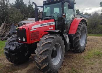 Massey Ferguson 6480