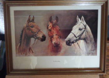 Wyprzedaż gospodarstwa domowego