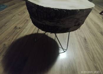 Kwietnik prawdziwe drzewo wysyłka