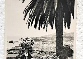 Madera . Portugalia