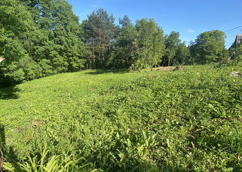 Działka budowlana z prywatnym lasem – 18 arów (okolice Krakowa)