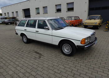 Na sprzedaż wyjątkowy, niemal wymarły klasyk – Mercedes W123 240 TD Kombi!