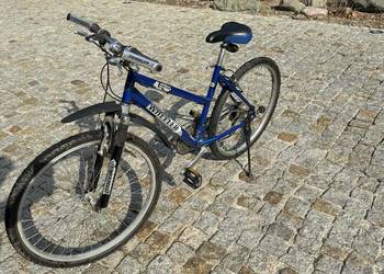 Rower damski Wheeler