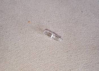 żarówka 12V 1.2W T5 11 szt. zegary tablica rejestracyjna wnętrze