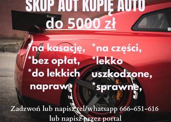Skup aut