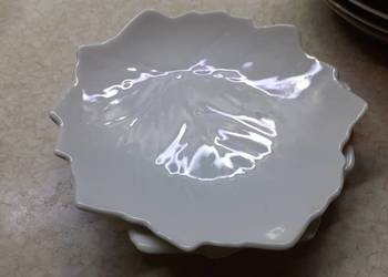 Talerzyk lisc--Walbrzych Talerzyk lisc--Walbrzych