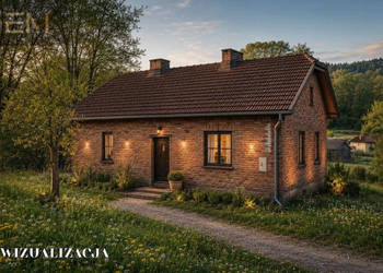 Oferta sprzedaży domu wolnostojącego Niepla 90m2