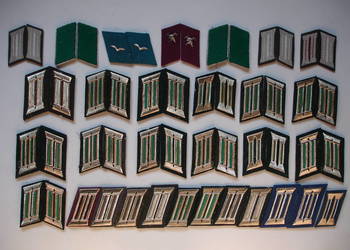 Pagony niemieckie (nowe) 7