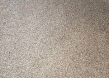 Pszenżyto jare 9 ton  Owies około 4 tony