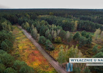 Oferta sprzedaży gruntu Czosnów 3000m2