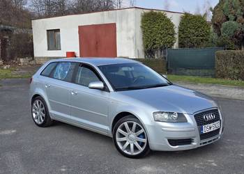 Audi a3 8p Sportback 1.9 TDI (BKC)