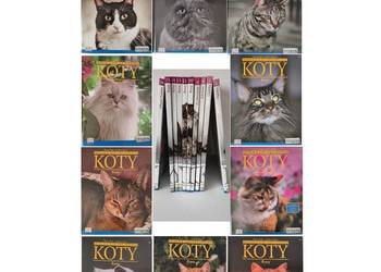 Koty Wielka Encyklopedia Axel Springer Polska