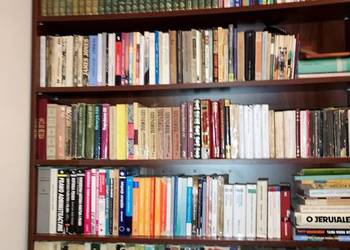 Negocjator/Doradca dla obcokrajowców