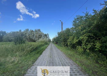 Działka na Żuławach I blisko trasy S7 I 2500 m2