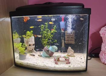 CZYTAJ OPIS Akwarium z pełnym wyposażeniem