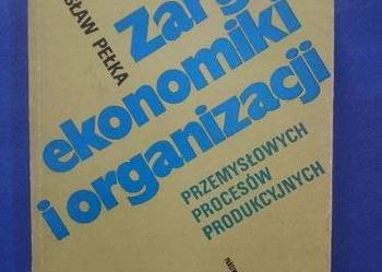 ZARYS EKONOMIKI I ORGANIZACJI ... - Pełka /FA