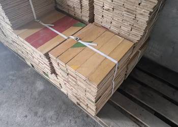 Parkiet Dębowy 40 letni