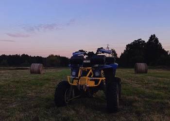 Quad polaris trailblazer 250