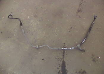 PEUGEOT 407 1.6 HDI WAZ PRZEWOD WSPOMAGANIA PEUGEOT 407 1.6 HDI WAZ PRZEWOD WSPOMAGANIA