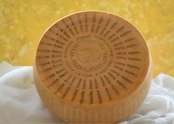 Parmigiano Reggiano 40 kg dojrzewanie 24 Miesiące - Cały Krąg