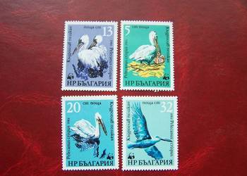 Bułgaria 1984 MNH Fauna Ptaki Pelikany  WWF  a
