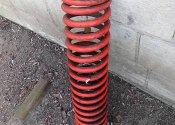 Bizon Rekord sprężyny siłowników