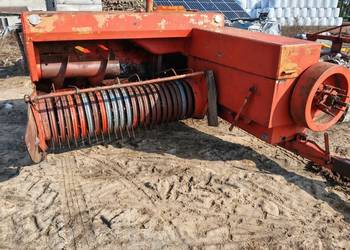 Prasa Kostkujaca sipma