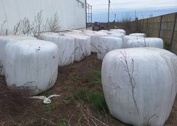 Baloty siano kiszonka