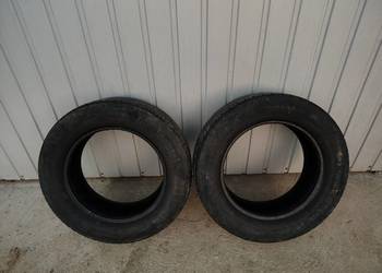 2xContinental ContiEcoContact 5 215/60 R16 95 H