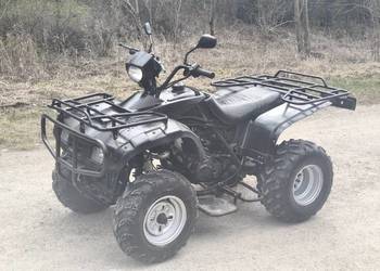 Quad 250cm Zajerejestrowany