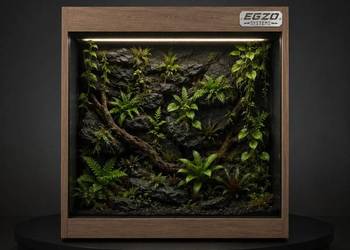 Terrarium tropikalne dla gekona orzęsionego boa cesarskiego