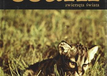 ssaki zwierzęta świata - W. Sierafiński