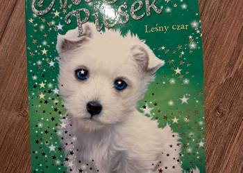 książka "magiczny piesek" Sue Bentley stan bdb-