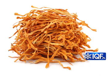 Kordyceps suszony Cordyceps 100g Maczużnik bojowy grzyby suszone grzyb
