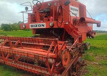 Bizon normal wersja eksportowa