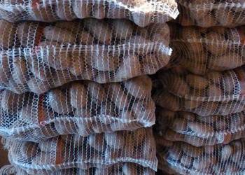 Ziemniaki Irga, Catania, Irys - około 500 kg każdej odmiany Ziemniaki Irga, Catania, Irys - około 500 kg każdej odmiany