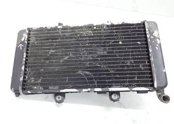 Chłodnica Klejona Czujnik Wentylator Aprilia Pegaso 650 91-97r