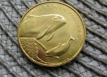 Polska 2 zł GN 2004r - Morświn - Ładna