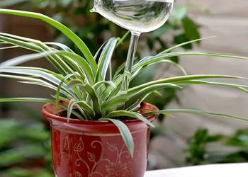 Automatyczne urządzenie do podlewania kwiatów