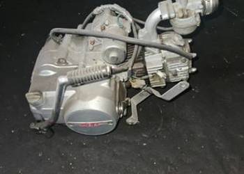 Silnik zipp shock 50
