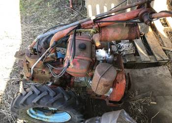 traktorek, dzik, nibbi