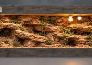 Terrarium specjalistyczne dla agamy brodatej żółwia greckiego