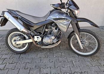 Xt 660 1wł. W orginale