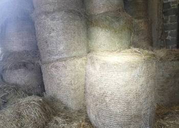 Sprzedam siano w belach