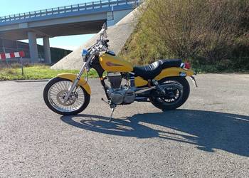 Suzuki LS 650 savage