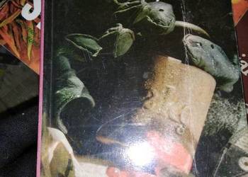 Sprawa dla jednego Edigey sensacja outlet książki używane